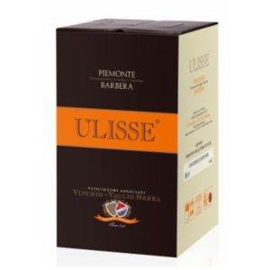Barbera “Ulisse” 10 Litri 2020 Vinchio Vaglio Serra