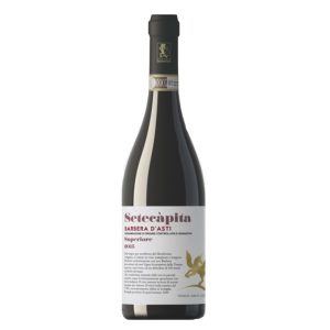 Barbera d’Asti Superiore “Setecàpita” 2019 Tenuta Santa Caterina