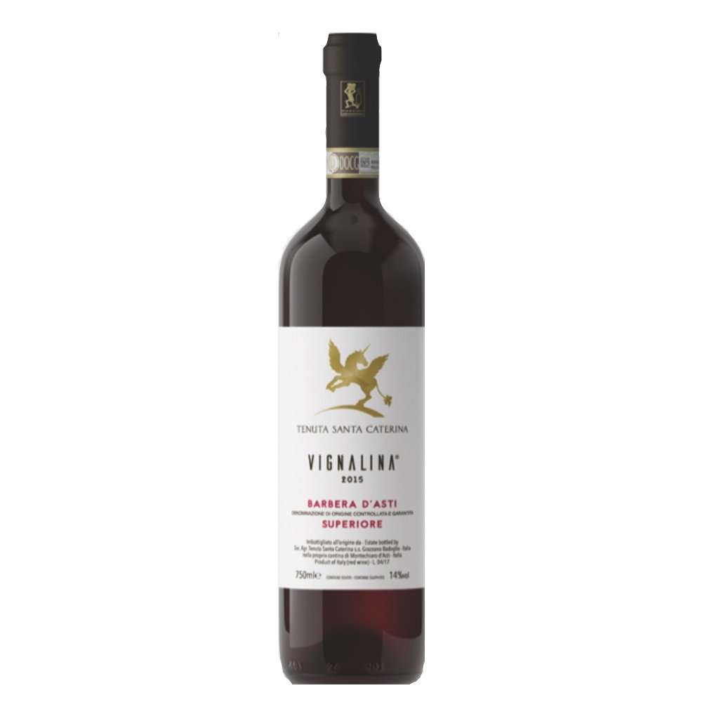 Barbera d’Asti Superiore “Vignalina” 2021 Tenuta Santa Caterina - immagine 2
