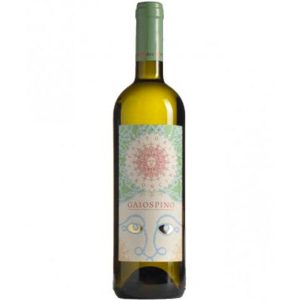 Verdicchio superiore “Gaiospino” castelli Jesi DOC 2018 Azienda agricola Il Coroncino