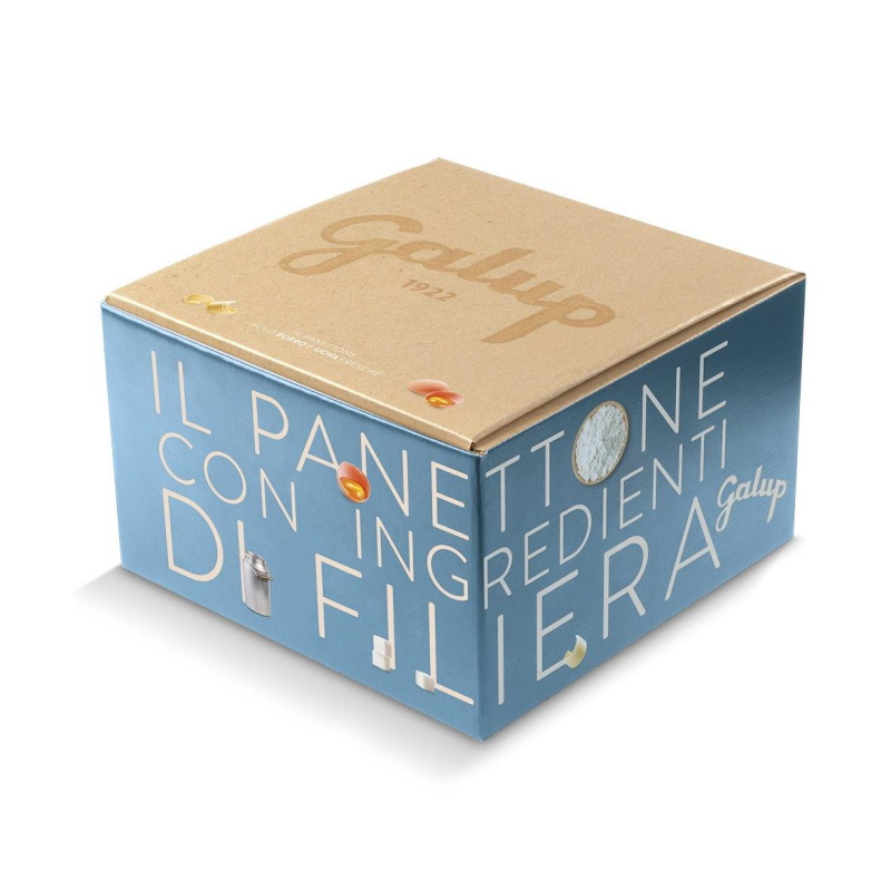 Panettone Galup Paradiso KG 0.750